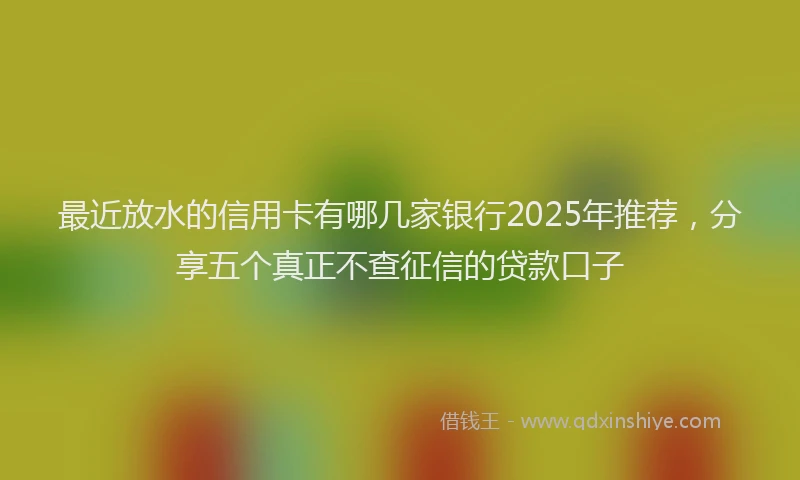 最近放水的信用卡有哪几家银行2025年推荐，分享五个真正不查征信的贷款口子