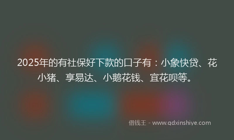 2025年的有社保好下款的口子有：小象快贷、花小猪、享易达、小鹅花钱、宜花呗等。