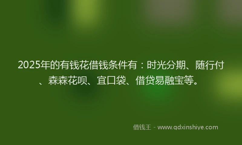 2025年的有钱花借钱条件有：时光分期、随行付、森森花呗、宜口袋、借贷易融宝等。