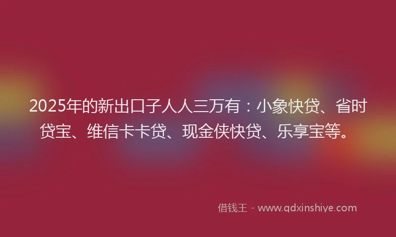 2025年的新出口子人人三万有：小象快贷、省时贷宝、维信卡卡贷、现金侠快贷、乐享宝等。