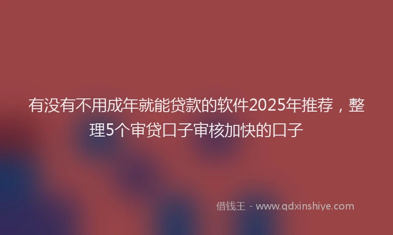 有没有不用成年就能贷款的软件2025年推荐，整理5个审贷口子审核加快的口子