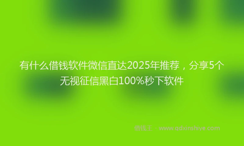 有什么借钱软件微信直达2025年推荐，分享5个无视征信黑白100%秒下软件