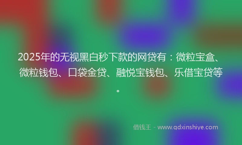 2025年的无视黑白秒下款的网贷有：微粒宝盒、微粒钱包、口袋金贷、融悦宝钱包、乐借宝贷等。