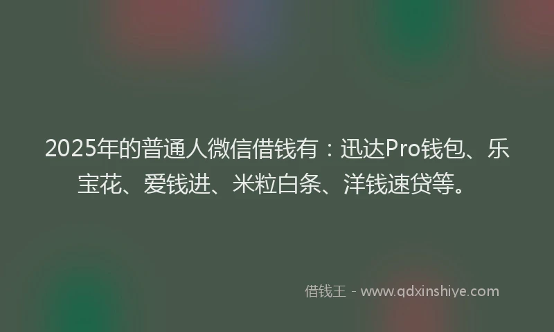 2025年的普通人微信借钱有：迅达Pro钱包、乐宝花、爱钱进、米粒白条、洋钱速贷等。