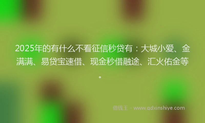 2025年的有什么不看征信秒贷有：大城小爱、金满满、易贷宝速借、现金秒借融途、汇火佑金等。