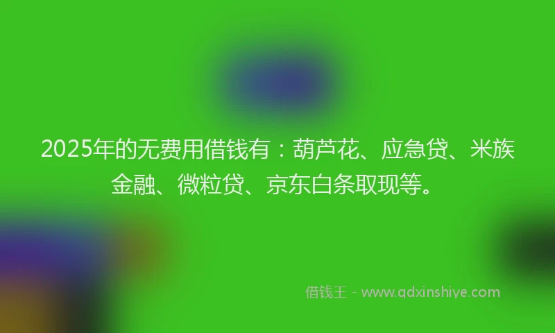 2025年的无费用借钱有：葫芦花、应急贷、米族金融、微粒贷、京东白条取现等。