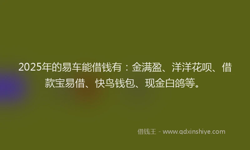 2025年的易车能借钱有：金满盈、洋洋花呗、借款宝易借、快鸟钱包、现金白鸽等。