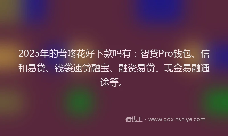 2025年的普咚花好下款吗有：智贷Pro钱包、信和易贷、钱袋速贷融宝、融资易贷、现金易融通途等。