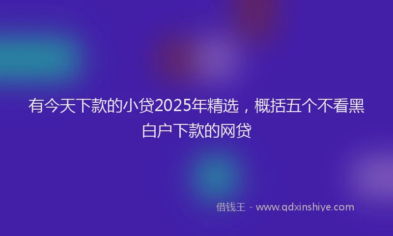 有今天下款的小贷2025年精选，概括五个不看黑白户下款的网贷