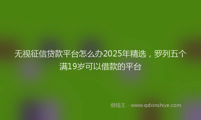 无视征信贷款平台怎么办2025年精选，罗列五个满19岁可以借款的平台