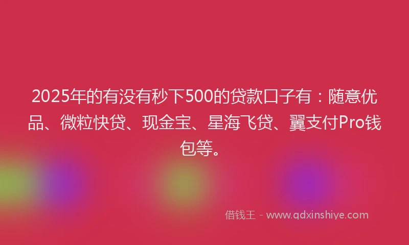 2025年的有没有秒下500的贷款口子有：随意优品、微粒快贷、现金宝、星海飞贷、翼支付Pro钱包等。
