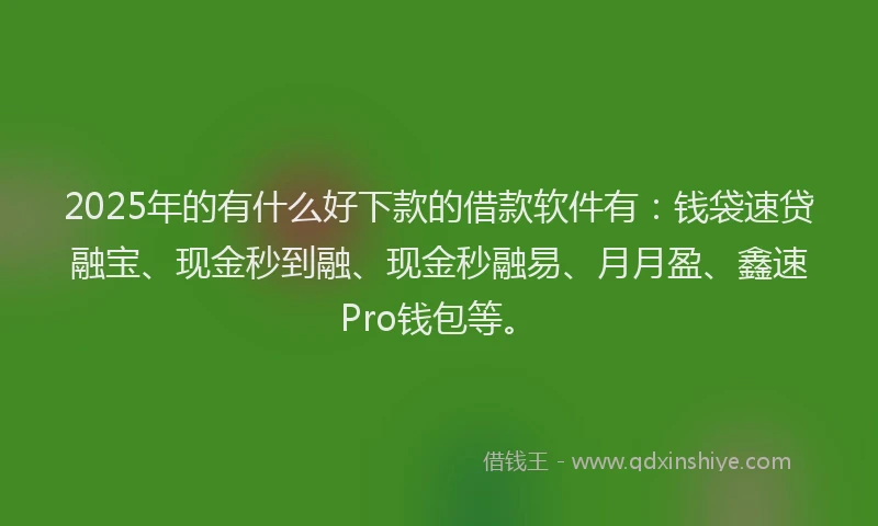 2025年的有什么好下款的借款软件有：钱袋速贷融宝、现金秒到融、现金秒融易、月月盈、鑫速Pro钱包等。