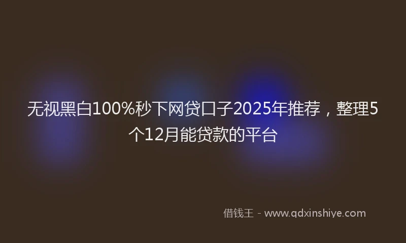 无视黑白100%秒下网贷口子2025年推荐，整理5个12月能贷款的平台