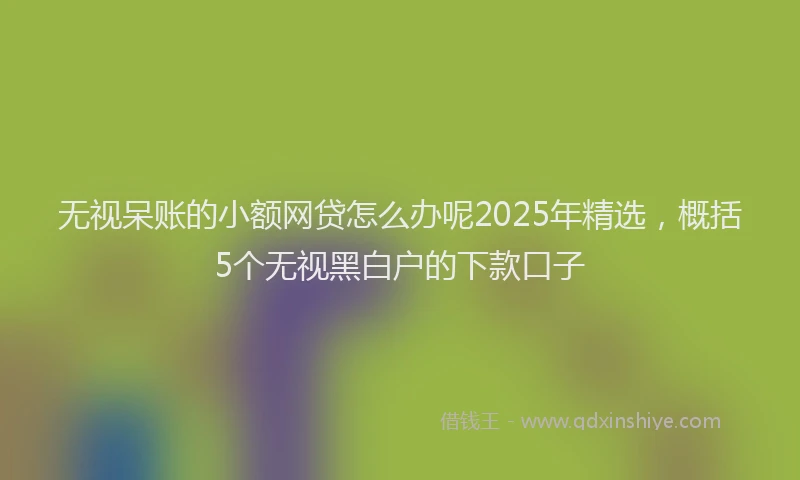 无视呆账的小额网贷怎么办呢2025年精选，概括5个无视黑白户的下款口子