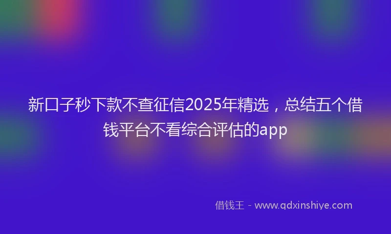 新口子秒下款不查征信2025年精选，总结五个借钱平台不看综合评估的app
