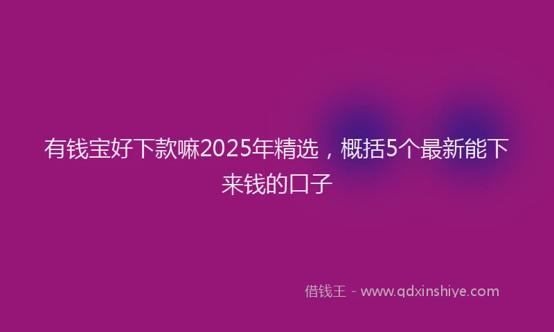 有钱宝好下款嘛2025年精选，概括5个最新能下来钱的口子