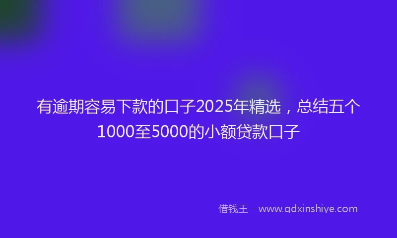 有逾期容易下款的口子2025年精选，总结五个1000至5000的小额贷款口子