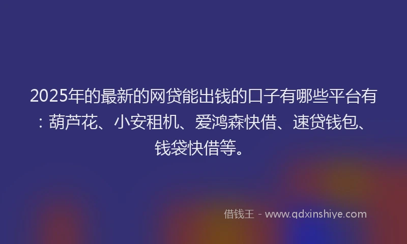 2025年的最新的网贷能出钱的口子有哪些平台有：葫芦花、小安租机、爱鸿森快借、速贷钱包、钱袋快借等。