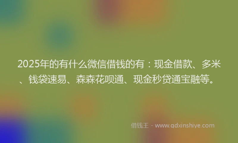 2025年的有什么微信借钱的有：现金借款、多米、钱袋速易、森森花呗通、现金秒贷通宝融等。