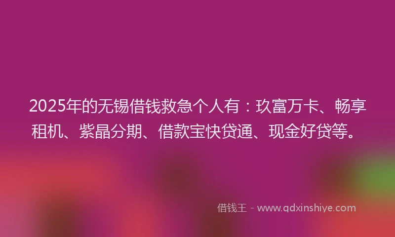 2025年的无锡借钱救急个人有：玖富万卡、畅享租机、紫晶分期、借款宝快贷通、现金好贷等。