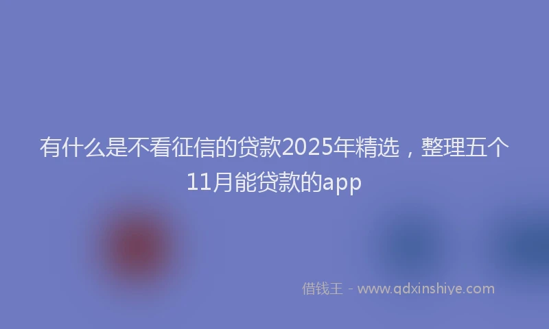 有什么是不看征信的贷款2025年精选，整理五个11月能贷款的app