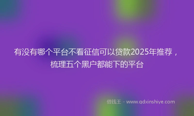 有没有哪个平台不看征信可以贷款2025年推荐，梳理五个黑户都能下的平台