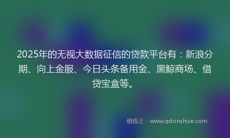 2025年的无视大数据征信的贷款平台有：新浪分期、向上金服、今日头条备用金、黑鲸商场、借贷宝盒等。