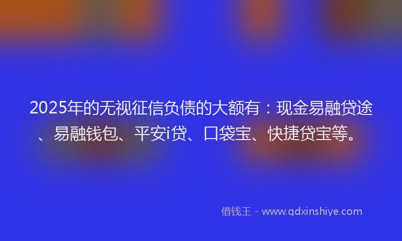 2025年的无视征信负债的大额有：现金易融贷途、易融钱包、平安i贷、口袋宝、快捷贷宝等。