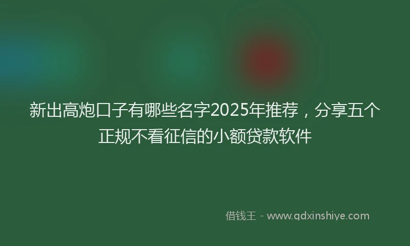 新出高炮口子有哪些名字2025年推荐，分享五个正规不看征信的小额贷款软件