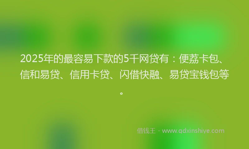 2025年的最容易下款的5千网贷有：便荔卡包、信和易贷、信用卡贷、闪借快融、易贷宝钱包等。
