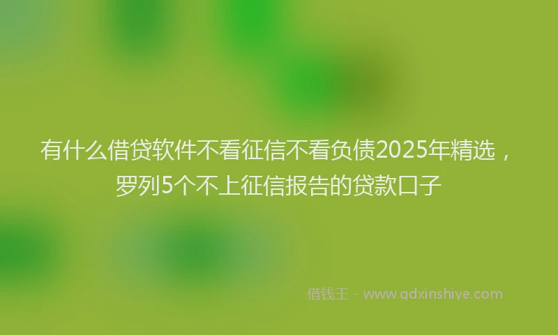 有什么借贷软件不看征信不看负债2025年精选，罗列5个不上征信报告的贷款口子