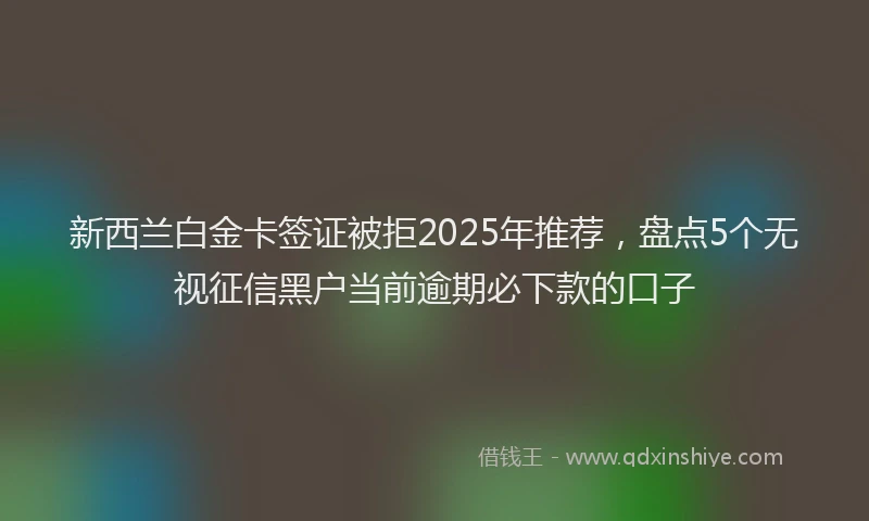 新西兰白金卡签证被拒2025年推荐，盘点5个无视征信黑户当前逾期必下款的口子