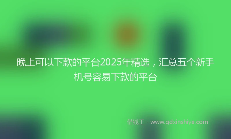 晚上可以下款的平台2025年精选，汇总五个新手机号容易下款的平台