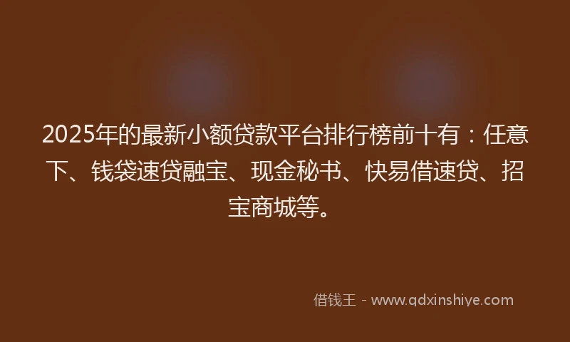 2025年的最新小额贷款平台排行榜前十有：任意下、钱袋速贷融宝、现金秘书、快易借速贷、招宝商城等。