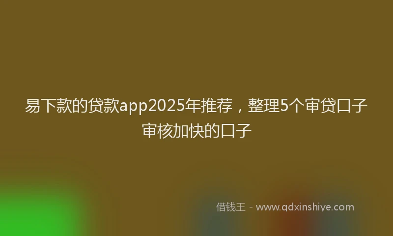 易下款的贷款app2025年推荐，整理5个审贷口子审核加快的口子