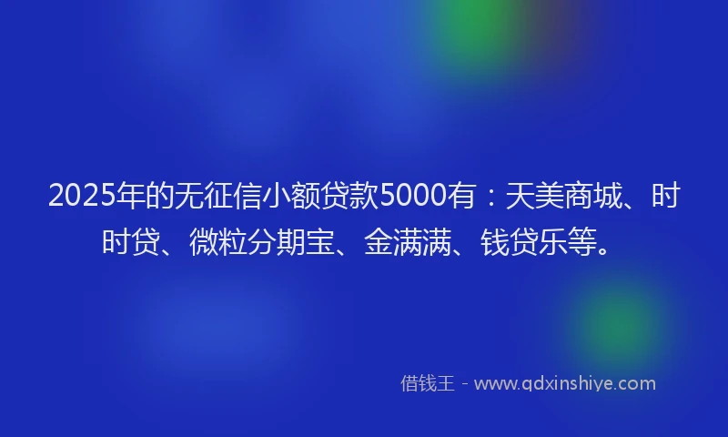 2025年的无征信小额贷款5000有：天美商城、时时贷、微粒分期宝、金满满、钱贷乐等。