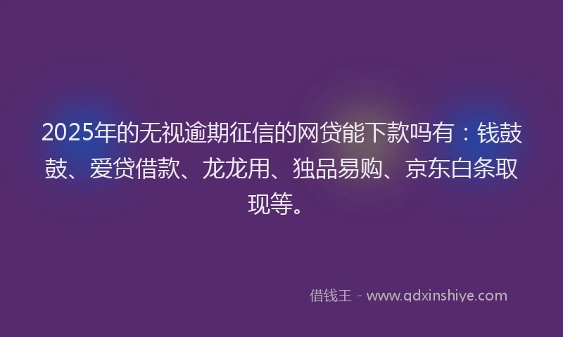 2025年的无视逾期征信的网贷能下款吗有：钱鼓鼓、爱贷借款、龙龙用、独品易购、京东白条取现等。