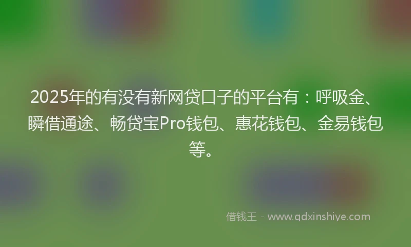 2025年的有没有新网贷口子的平台有：呼吸金、瞬借通途、畅贷宝Pro钱包、惠花钱包、金易钱包等。
