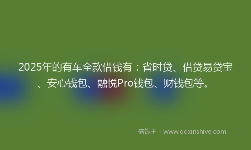 2025年的有车全款借钱有：省时贷、借贷易贷宝、安心钱包、融悦Pro钱包、财钱包等。