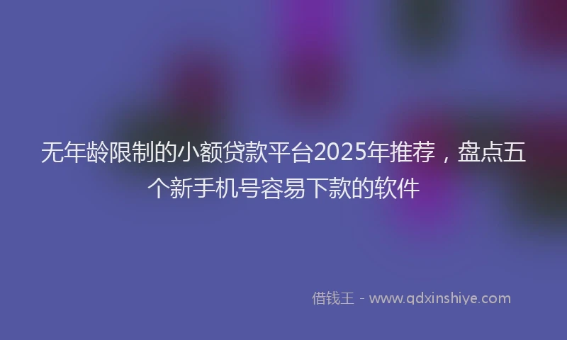 无年龄限制的小额贷款平台2025年推荐，盘点五个新手机号容易下款的软件