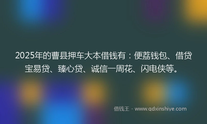 2025年的曹县押车大本借钱有：便荔钱包、借贷宝易贷、臻心贷、诚信一周花、闪电侠等。