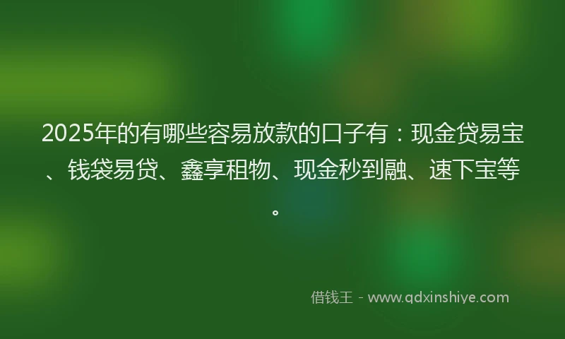 2025年的有哪些容易放款的口子有：现金贷易宝、钱袋易贷、鑫享租物、现金秒到融、速下宝等。