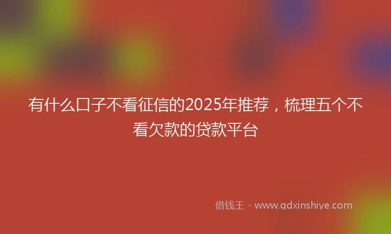 有什么口子不看征信的2025年推荐，梳理五个不看欠款的贷款平台