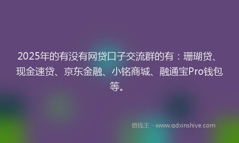2025年的有没有网贷口子交流群的有：珊瑚贷、现金速贷、京东金融、小铭商城、融通宝Pro钱包等。