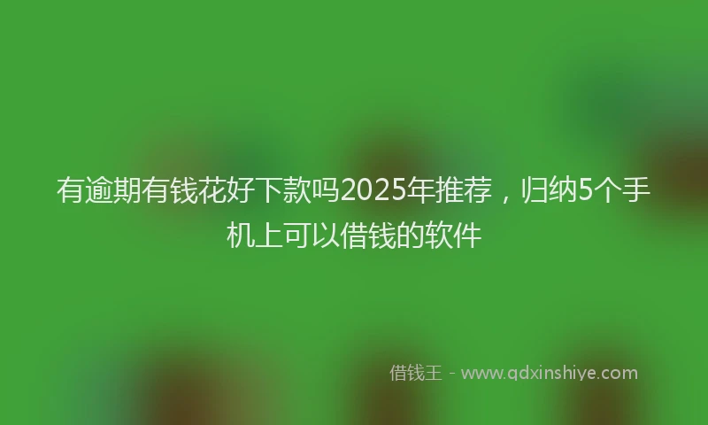 有逾期有钱花好下款吗2025年推荐，归纳5个手机上可以借钱的软件