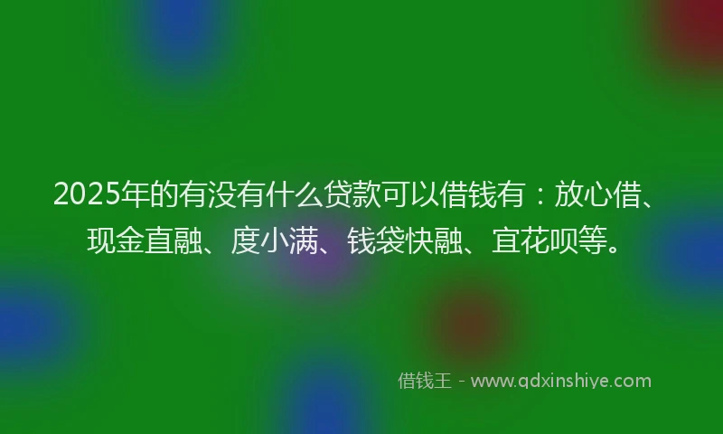 2025年的有没有什么贷款可以借钱有：放心借、现金直融、度小满、钱袋快融、宜花呗等。