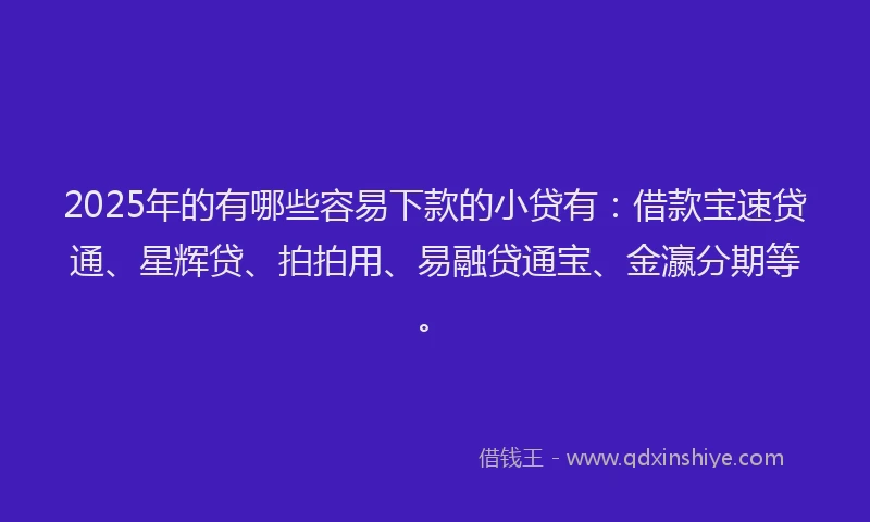 2025年的有哪些容易下款的小贷有：借款宝速贷通、星辉贷、拍拍用、易融贷通宝、金瀛分期等。