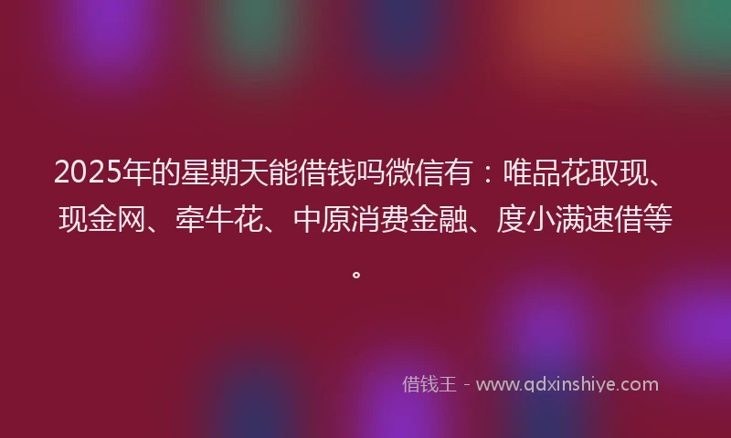 2025年的星期天能借钱吗微信有：唯品花取现、现金网、牵牛花、中原消费金融、度小满速借等。