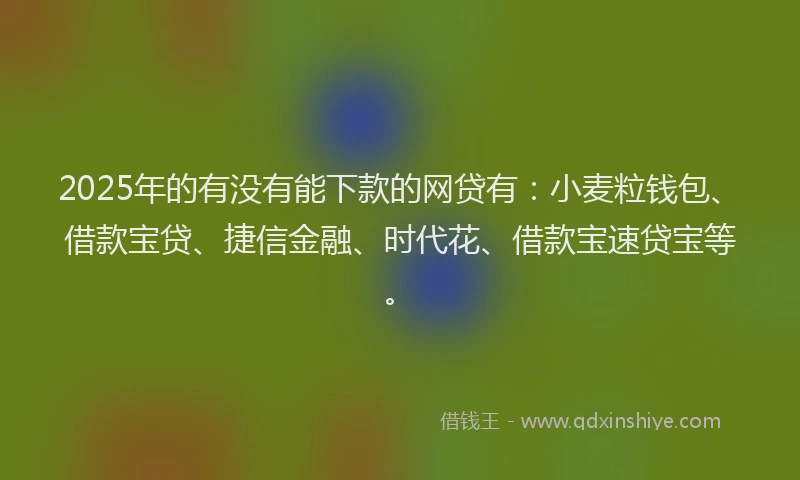 2025年的有没有能下款的网贷有：小麦粒钱包、借款宝贷、捷信金融、时代花、借款宝速贷宝等。