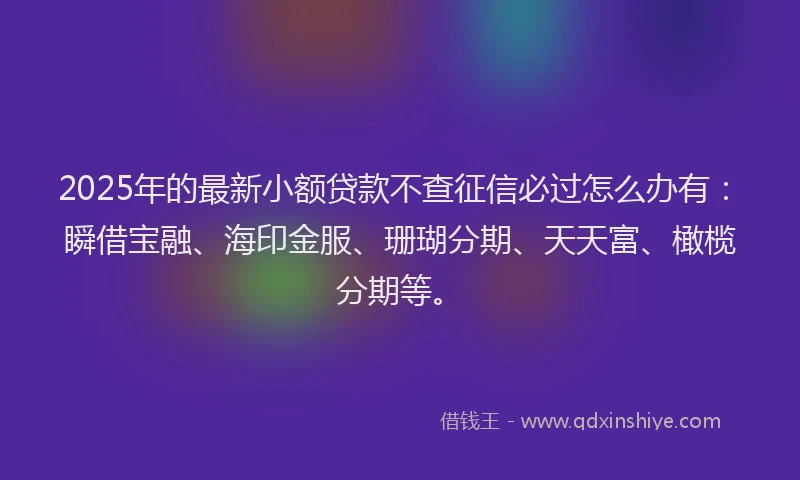 2025年的最新小额贷款不查征信必过怎么办有：瞬借宝融、海印金服、珊瑚分期、天天富、橄榄分期等。